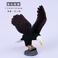 Фонд станции с твердым орлом