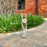 Ludan Bird 3*12 см размера