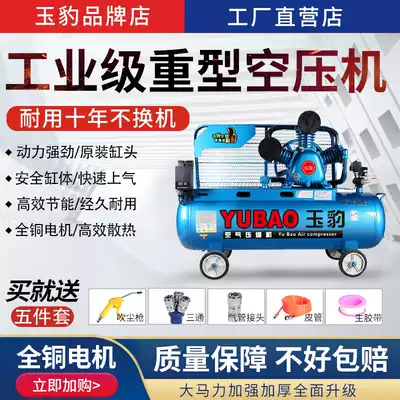 Air compressor 220V small air pump industrial grade large 380V high pressure air pump auto repair painting air compressor