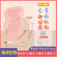 Морская жизнь с 8 -граммовым клипом 3