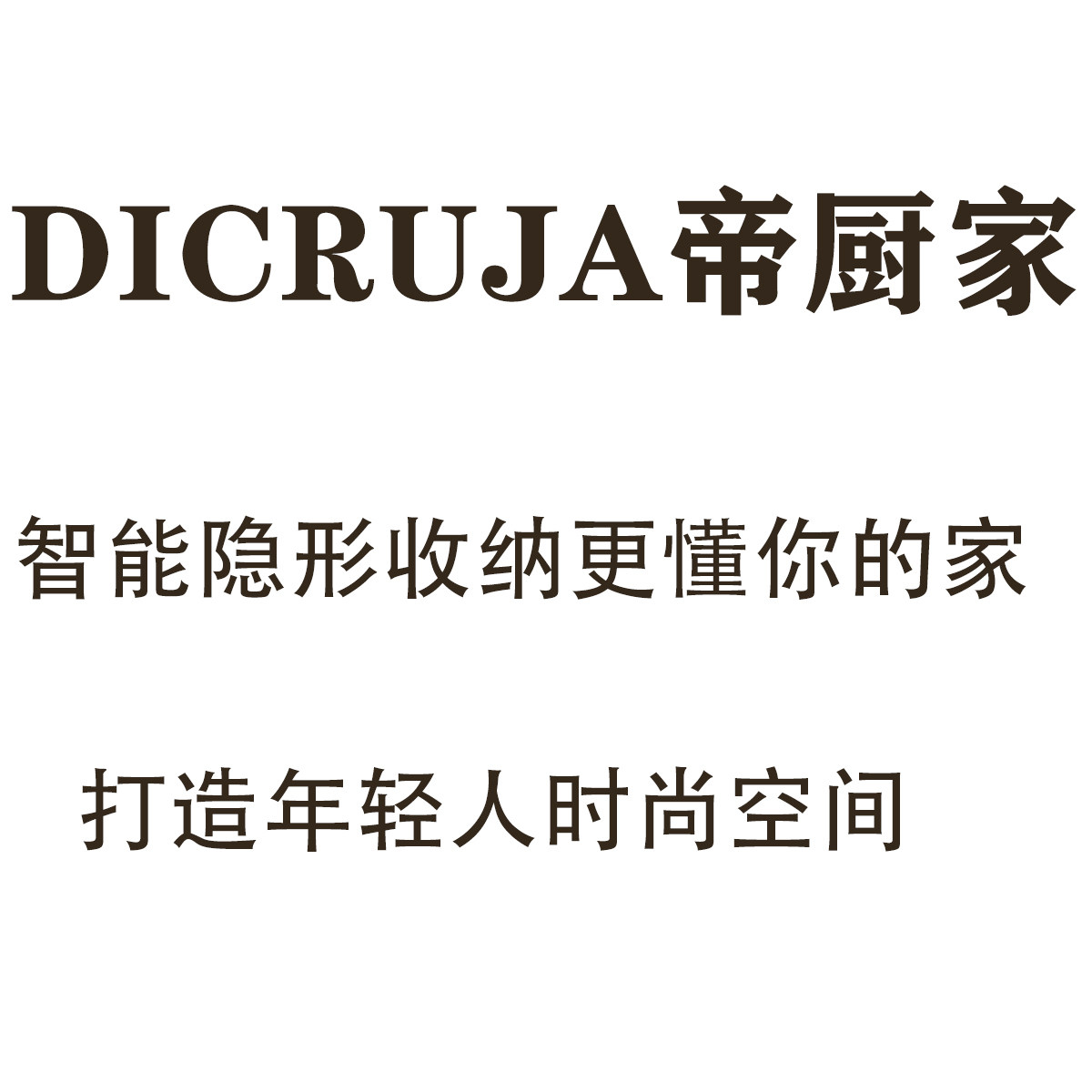 DICRUJA帝厨家居智能高端厨柜五金