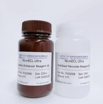 新赛美 科研专用 经典试剂 高敏ECL 超敏ECL化学发光试剂盒