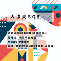 Big beautiful Italian SOE-Costa Rica espresso-454g