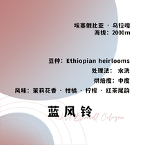 Blue Wind Bell Ethiopia Fuji Coffee Boutique hand-brewed single-product coffee beans 120g