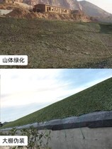 Summer Camp Shelter Plant Exercise Camouflage Defense Aerial Photo Shoot Field Summer CS Sunnet Sunnet pseudo-installed net