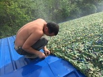 Anti-air shooting camouflak web pseudo-mounted network shielded anti-fake web site sunscreen outdoor mountain green mesh shade mesh mesh