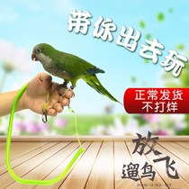 Parrot foot ring does not hurt the foot Parrot flying rope Ultra-light starling chain Anklet bird flying Xuanfeng walking bird Small and medium-sized