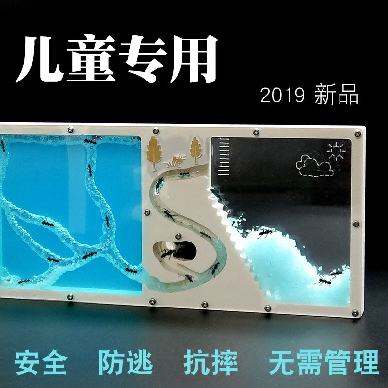 Ant Workshop Student Model Kindergarten Ant Castle Ant Manor Home Teachers all said good