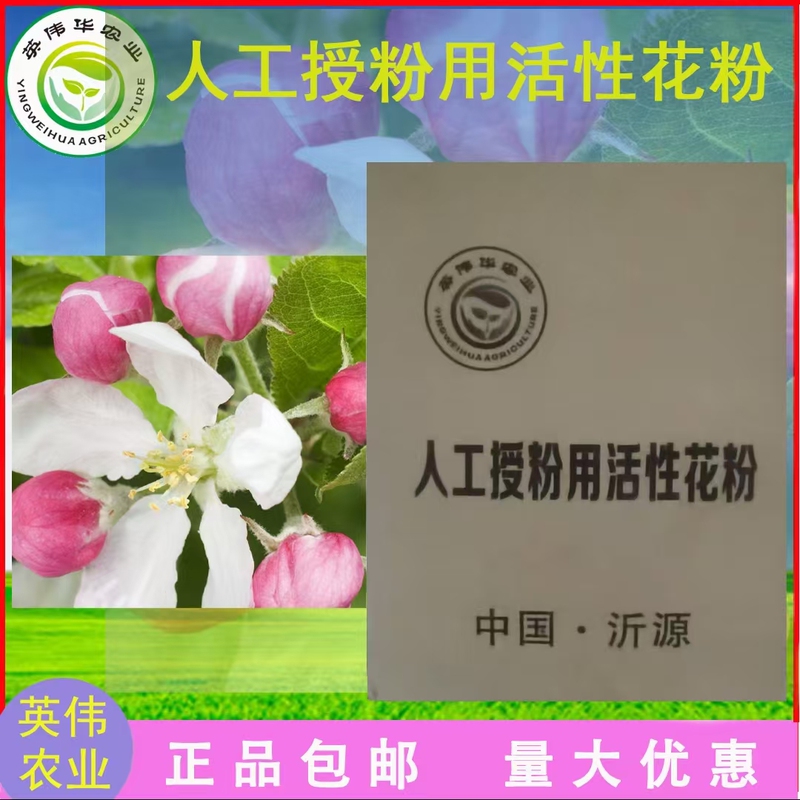 Apple Pollen, Active Pollen for Artificial Pollination, Red Fuji Artificial Pollination, Golden Leader, Red Star, Qin Guan