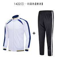 1422 белый и синий - набор