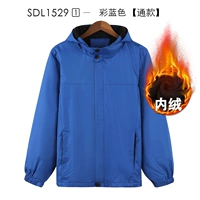 1529 Color Blue-Inner