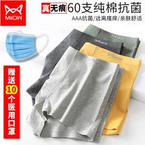 Cat mans underwear pure cotton flat corner briefs men 60 pure cotton Seasons thin underpants for boys