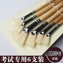 Oil Painting Pen Propylene Water Powder Watercolor Painting Pen Exam Special Sector Pen 6 Support