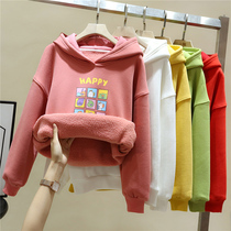 Girls' sweatshirt 2022 new spring autumn Korean style girls' middle and large children's Western-style fleece children's autumn and winter tops trendy children's clothes