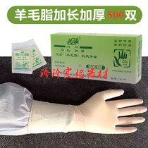Light - extended thickening powder - free laem gloves small medium large - size 500 boxes