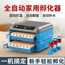 German Fine Work Incubators Small Home Fully Automatic Smart Little Chicken Water Bed Luding Chicken Eggs Parrot Hatching Eggs