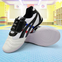 Chaussures de Tai Chi pour adultes et enfants chaussures de Taekwondo pour hommes et femmes chaussures darts martiaux à semelles tendineuses hautement élastiques pour hommes et femmes et chaussures de Taekwondo pour les examens de qualité.