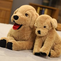 Cute Labrador dog doll size Yellow Dog plush toy kimi yellow childrens doll bed sleep