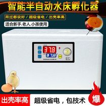 Incubators Small Home Mini Incubator Fully Automatic Smart Chicken Duck Goose Dove Egg Incubator Water Bed Hatching Egg