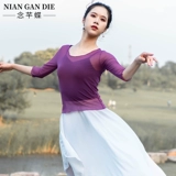 Классическая спортивная одежда, футболка, костюм, облегающий крой