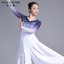 Ballet dance practice clothes female adult classical dance body rhyme dress dance dress dress body mesh coat top performance suit