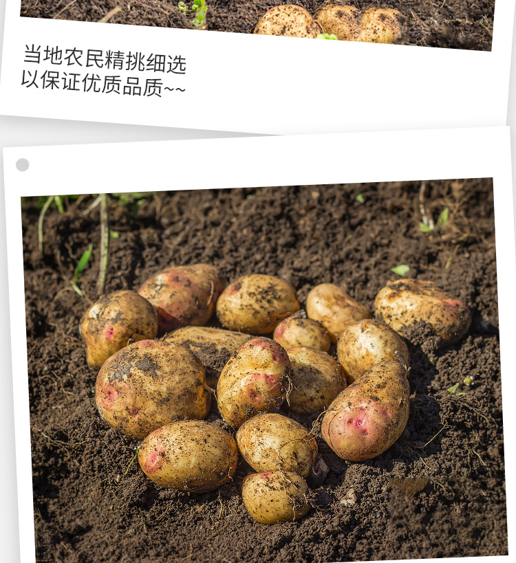 Картофельная деталь_07.jpg