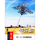 Самолет, воздушный змей, мультяшный истребитель для взрослых