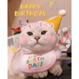 Платье кота и день рождения кошки и домашних кошек, собак и собак на день рождения, шляпы, треугольный шарф [Meow Meow Prop]