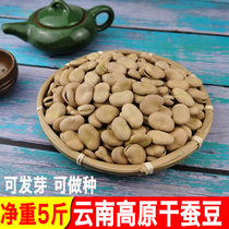 Broad Bean Dried Goods Raw Yunnan Dried Broad Bean Fresh Bulk 5 Jin Hu Bean Luohan Bean Broad Bean Farm 2021 New Goods