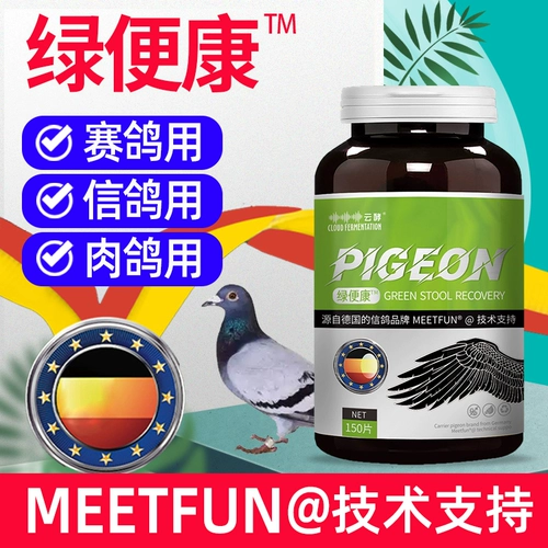 Голубь -голубь -голубь с зеленым шиитом