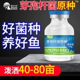 Композитный Bacillus Bacillus Первичная симвонная аквакультура бактерий бактерии рыб пруд, приготовленная вода соль awater соль