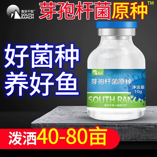 Композитный Bacillus Bacillus Первичная симвонная аквакультура бактерий бактерии рыб пруд, приготовленная вода соль awater соль