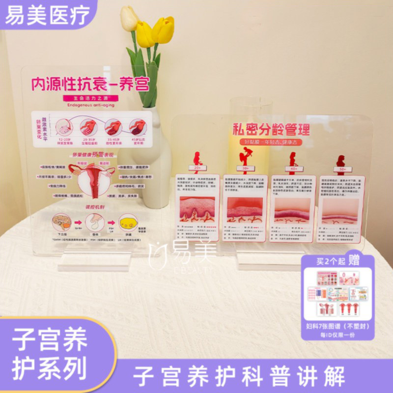 アクリル製子宮ケアシリーズ卓上装飾品（美容サロンやカウンセリングルーム向け） - 消費者にとって必須アイテムであり、粘膜に関する知識を説明するのに役立ちます