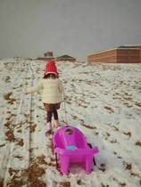 冬天遛娃神器儿童雪橇车新款冰上爬犁加厚冰车滑草板滑雪工具玩具