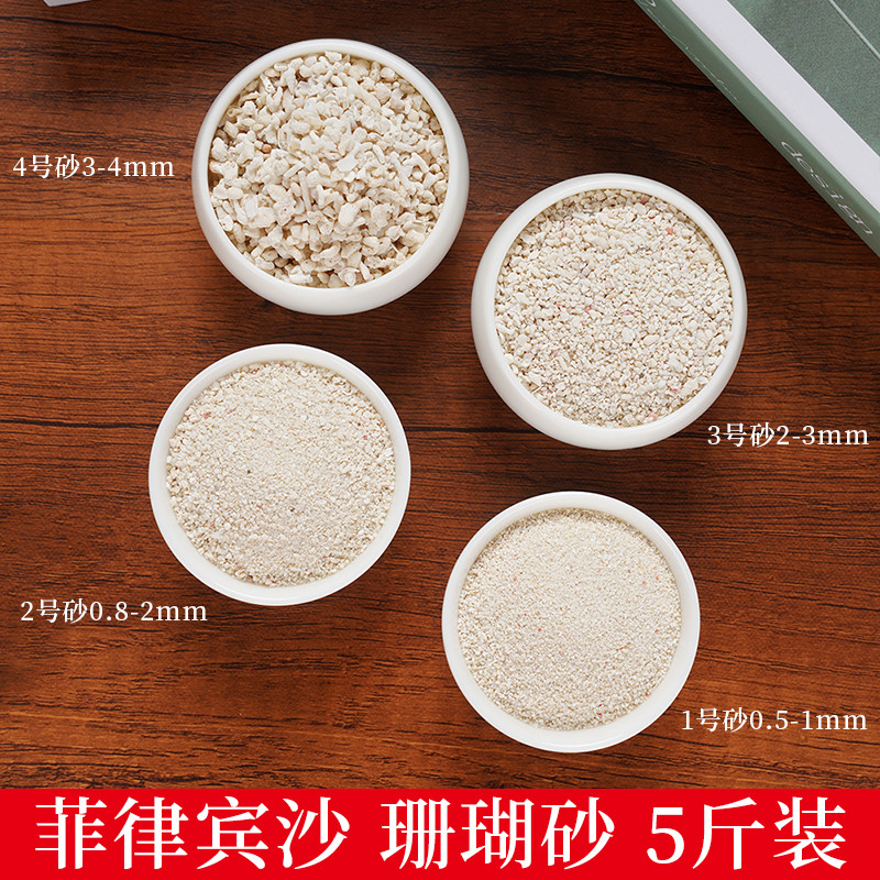 Philippine sand shell White fine sand Coral sand Fish tank Decorative landscaping sea tank Three lakes Cichlid hermit crab bottom sand