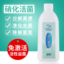 Miaomiao fish nitrifying bacteria Fish tank water purifying agent Aquarium digestive bacteria capsule live bacteria Dry powder Water quality stabilizer