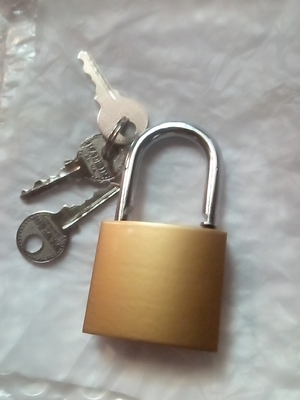 Small mini padlock cabinet dormitory key universal key lock luggage lock home old-fashioned gate U-shaped lock