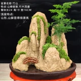 Поднимите доставку воды -поглощающего каменную фальшивую гору бонсай, озеленение натуральное растение.