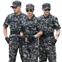 Армейский Зеленый