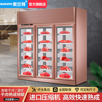 Beef maturation cabinet Dry acid discharge cabinet Western constant wet steak cabinet Refrigerated preservation cabinet Constant temperature frozen display cabinet