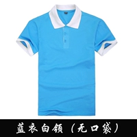 Синее пальто и белый воротник (без карманов)