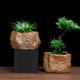 Succulent flower pot ສ້າງສັນ desktop asparagus ໄມ້ໄຜ່ສີຂຽວພືດສ່ວນບຸກຄົນ imitation stone calamus bonsai ເຄື່ອງປັ້ນດິນເຜົາຫຍາບຊີ້ນ pot ceramic ການສະເຫນີພິເສດ