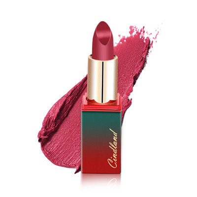 【拍2件】口红哑光小众品牌女学生款