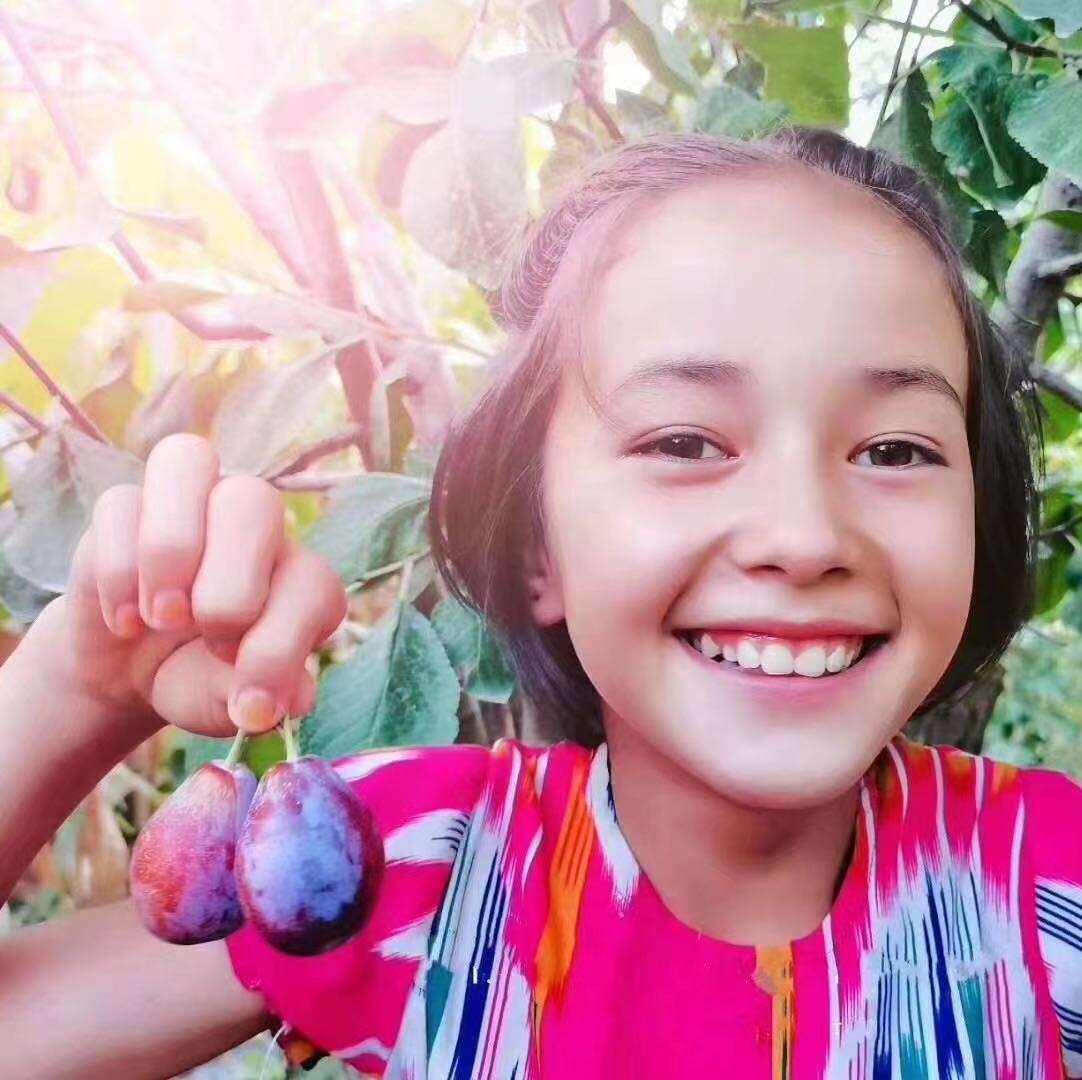 艾尔克新疆特产