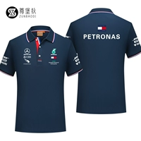 Цветовые термины Тибетские Цин 1