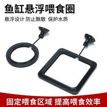 Duckweed fixed circle feeding circle fish feeding fish tank large buoyancy floating feeder fish tank goldfish