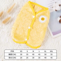 Желтый жилет