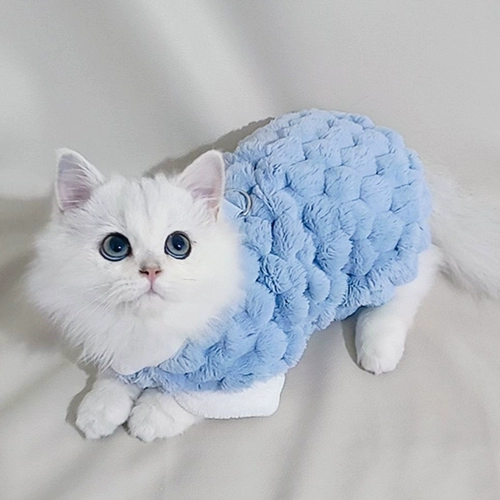 Кошачья одежда зимой, теплое и антиволоненое тряпичное голубо