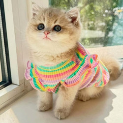 Cat Clothes Summer Thin Style Rainbow Flutter Sleeve Ragdoll Golden Tabby Kitten Pet Dog Summer Anti-Shedding Vest