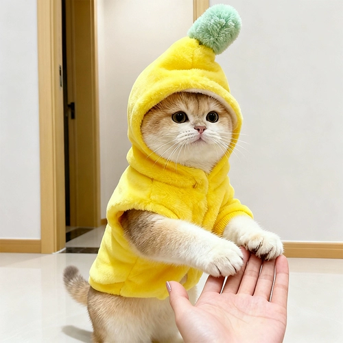 Одежда для кошек, милая трансформирующаяся одежда в виде банана, осенне-зимняя плюшевая бархатная утепленная теплая кукольная одежда с золотым градиентом, котята, домашние животные, собаки